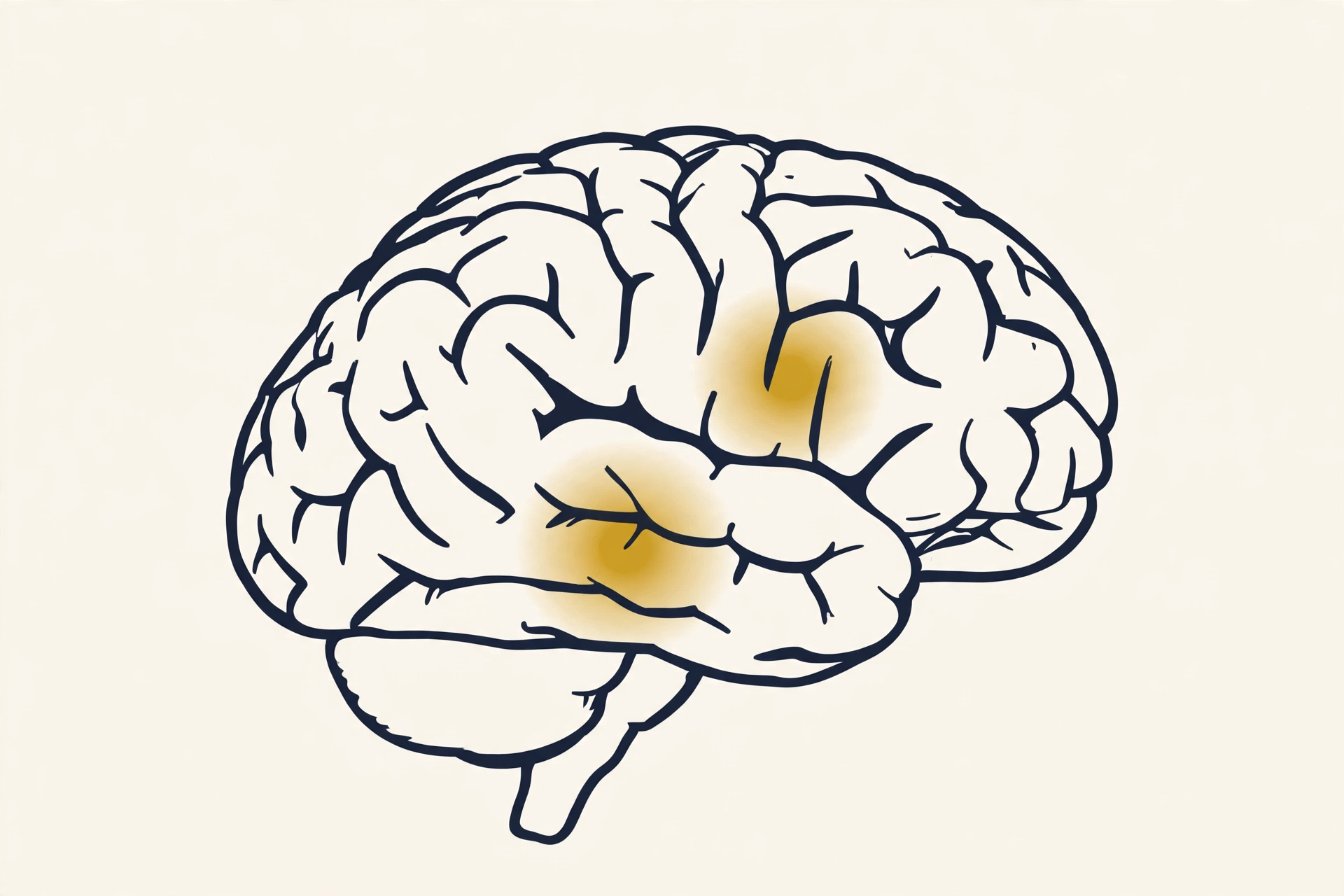 Illustration of a brain with two craving-related regions highlighted